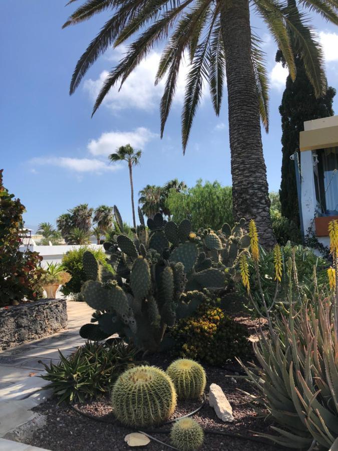 Good Vibes Apartment Costa Del Silencio Bagian luar foto