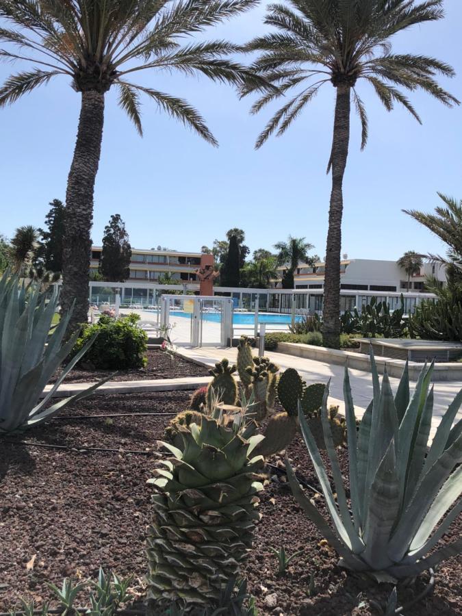 Good Vibes Apartment Costa Del Silencio Bagian luar foto